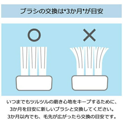 替えブラシ ドルツ専用 極細毛ブラシ コンパクト 黒 パナソニック EW0800-K