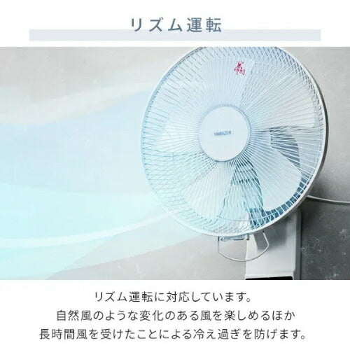 ヤマゼン YAMAZEN 壁掛け扇風機 DCモーター YWRX-BGD307(W) 30cm