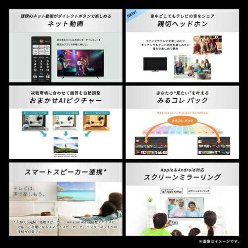 テレビ 50型 レグザ REGZA M5 series 4K 液晶 50M550R