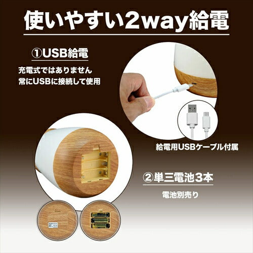 朝日電器 エルパ LED 小物が入る ライト PM-LP101 ウッド
