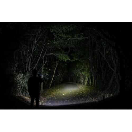 LEDハンディライト 明るさ520ルーメン STELLAシリーズ ジェントス ST-143D