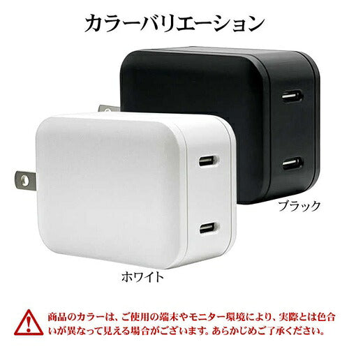 ラスタバナナ RastaBanana AC充電器 RAC2C45W01BK 45W ブラック