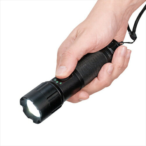 ELPA エルパ LEDアルミハンドライト 450ルーメン 単3形乾電池3本 集光・散光 DOP-EP540