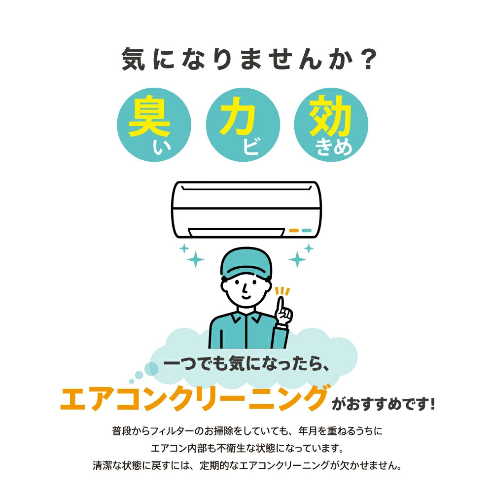 エアコンクリーニング 家庭用 除菌 抗菌剤入り 全国対応 風呂場不使用 ベイシア電器