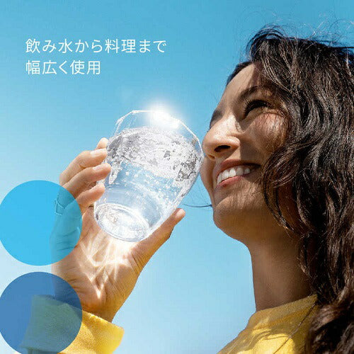 浄水器用交換カートリッジ 「マクストラプロ ピュアパフォーマンス」(3個入り)MAXTRA PRO Pure Performance ブリタ KBMPCZ3