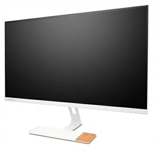 ディスプレイ 23.8インチ 液晶 モニター IPS FHD DS10 amadana 24ART0 P1