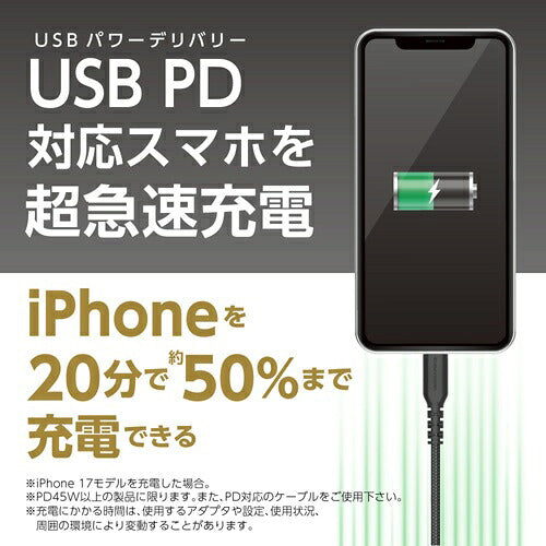 tama 多摩電子工業 AC充電器 TAP162UC2W PD100W 3ポート ホワイト