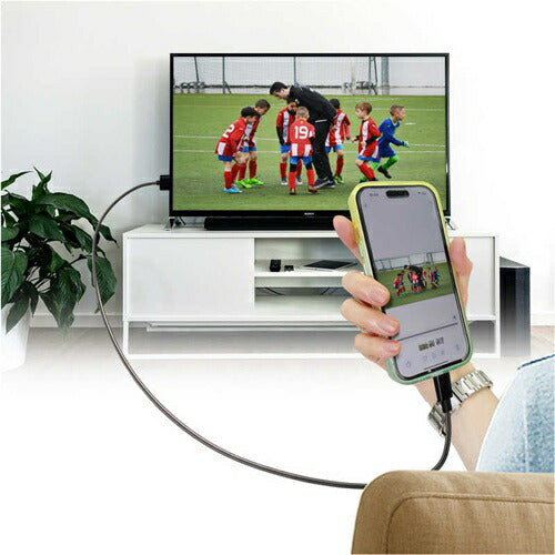 AIR-J Type-C to HDMI 変換ケーブル 3m 4K/60Hz 映像出力対応 AHD-C3M