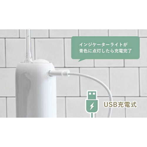 口腔洗浄器 ジェットクリーン グリフィ ホワイト ドリテック FS-102WT