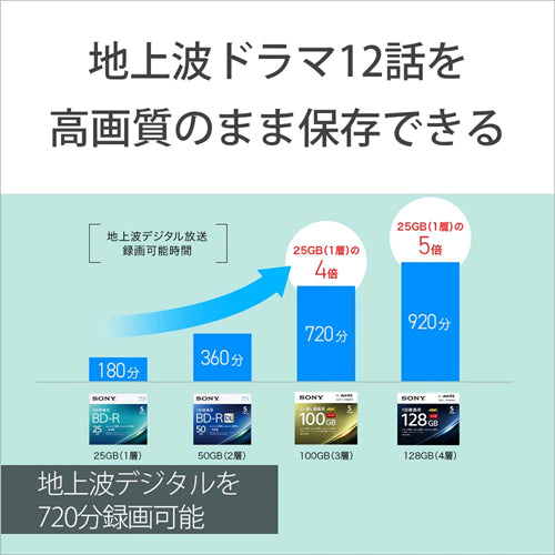 ソニー BD－RE 3BNE3VEPS2 ブルーレイディスク 繰り返し録画用  100GB  3枚入