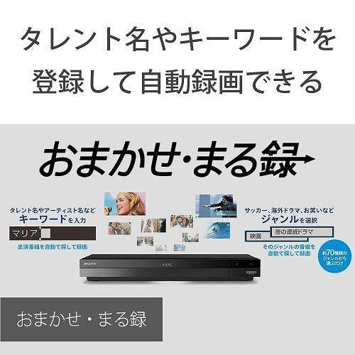 ソニー 4Kチューナー内蔵 ブルーレイレコーダー ３番組同時録画 6TB BDZ-FBT6100