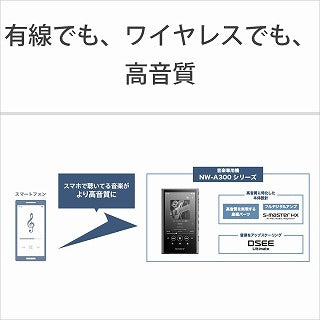 ソニー SONY ウォークマン WALKMAN 2023年モデル グレー 32GB ハイレゾ対応 NW-A306 HC