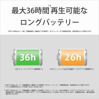 ソニー SONY ウォークマン WALKMAN 2023年モデル グレー 32GB ハイレゾ対応 NW-A306 HC