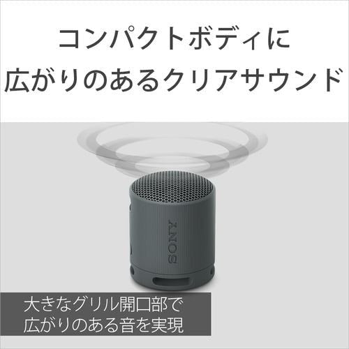 ワイヤレスポータブルスピーカー Bluetooth ライトグレー ソニー SRS-XB100 HC