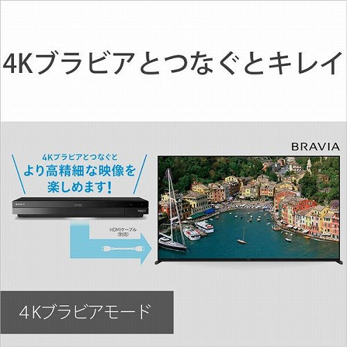 ソニー 4Kチューナー内蔵 ブルーレイレコーダー ３番組同時録画 2TB BDZ-FBT2200