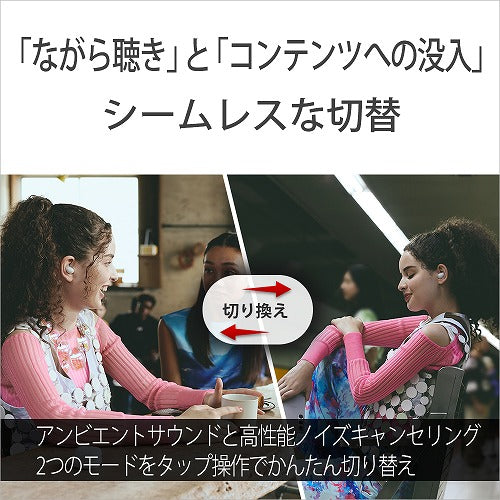 ソニー 完全ワイヤレスイヤホン LinkBuds Fit WF-LS910N BZ