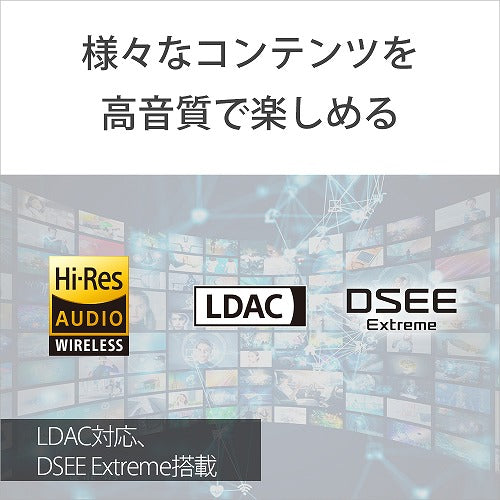 ソニー 完全ワイヤレスイヤホン LinkBuds Fit WF-LS910N BZ