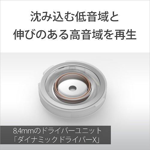 ソニー 完全ワイヤレスイヤホン LinkBuds Fit WF-LS910N BZ