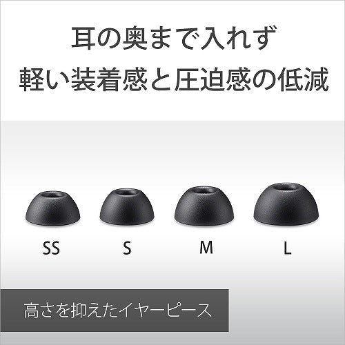 ソニー 完全ワイヤレスイヤホン LinkBuds Fit WF-LS910N BZ