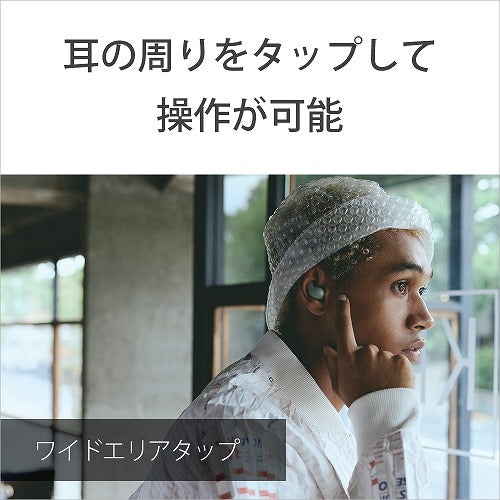 ソニー 完全ワイヤレスイヤホン LinkBuds Fit WF-LS910N WZ