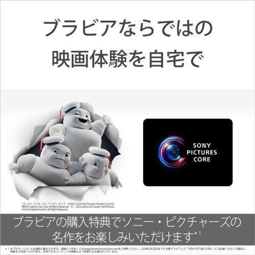 65V型 液晶テレビ 地上・BS・110度CSデジタル4Kチューナー内蔵 Google TV 機能搭載 BRAVIA XR70シリーズ ソニー K-65XR70