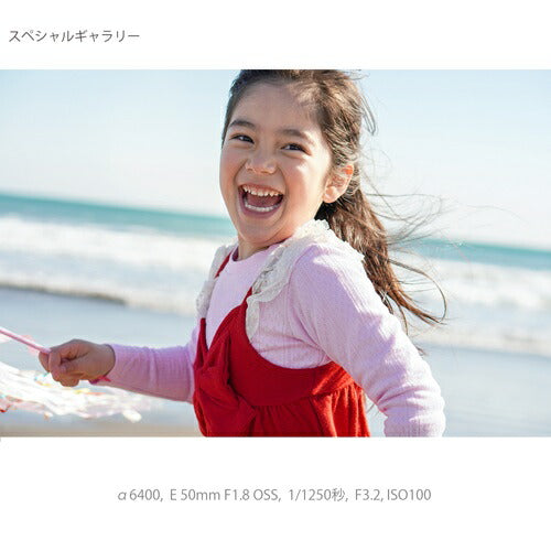 ミラーレス 一眼 カメラ ダブルズームレンズキット α6400 シルバー ソニー ILCE-6400X S