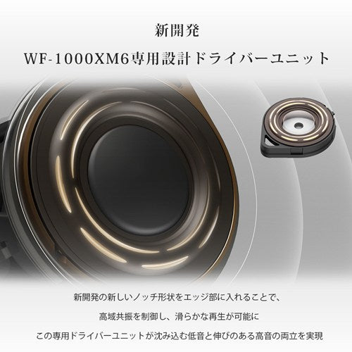 ソニー SONY 完全ワイヤレスイヤホン WF-1000XM6 BZ ブラック