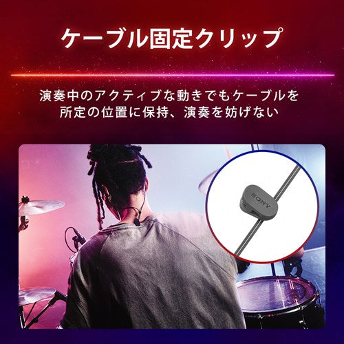 SONY ソニー インイヤーモニター IER-M500 有線イヤホン 密閉型 レッド＆ブルー
