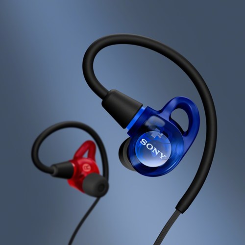 SONY ソニー インイヤーモニター IER-M500 有線イヤホン 密閉型 レッド＆ブルー