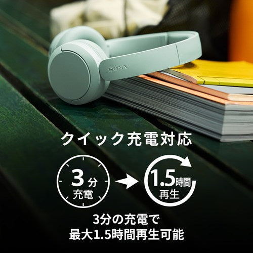 SONY ソニー ワイヤレスヘッドホン WH-CH530 BZ ブラック Bluetooth