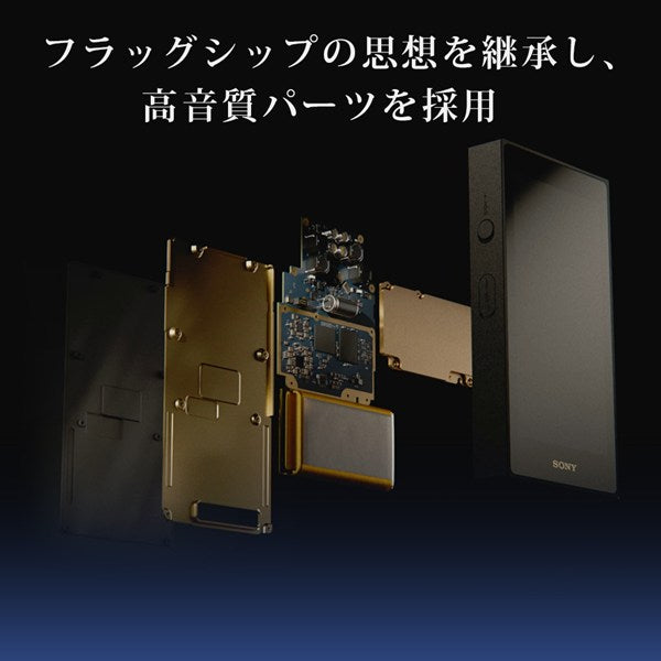 SONY ソニー ウォークマン NW-ZX900 64GB ブラック デジタルオーディオプレーヤー