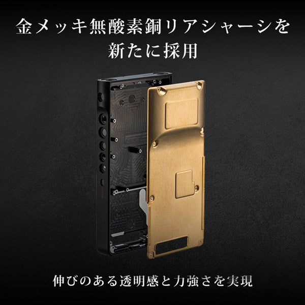SONY ソニー ウォークマン NW-WM1ZM3 256GB ゴールド デジタルオーディオプレーヤー