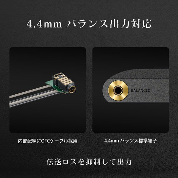 SONY ソニー ウォークマン NW-WM1ZM3 256GB ゴールド デジタルオーディオプレーヤー