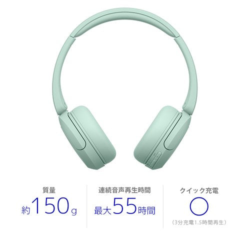 SONY ソニー ワイヤレスヘッドホン WH-CH530 GZ ミント Bluetooth
