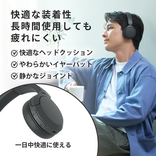 SONY ソニー ワイヤレスヘッドホン WH-CH530 GZ ミント Bluetooth