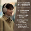 SONY ソニー ノイズキャンセリングワイヤレスヘッドホン WH-CH730N CC ベージュ
