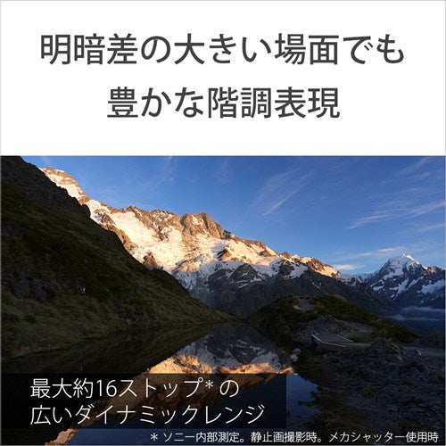 SONY ソニー α7R VI ミラーレス一眼カメラ ボディ ILCE-7RM6
