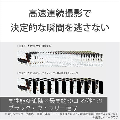 SONY ソニー α7R VI ミラーレス一眼カメラ ボディ ILCE-7RM6