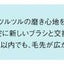 替ブラシ イオン用密集極細毛ブラシ 2本入 白 パナソニック EW0913-W