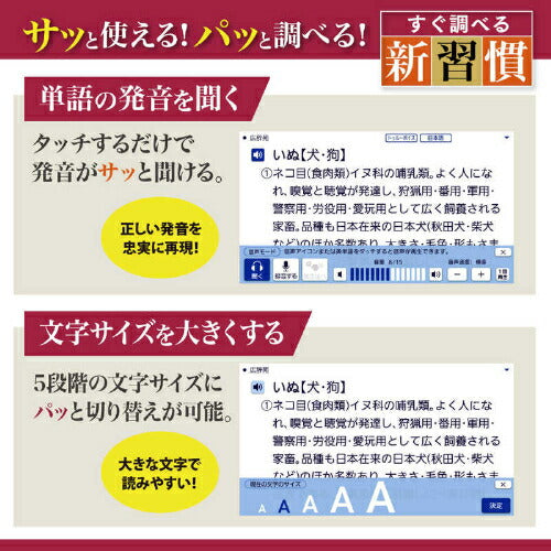 電子辞書 生活・教養モデル(国語系･英語系･英会話・トラベル・学習・生活・実用・その他) ゴールド カシオ XD-SA6500GD