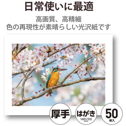 プリンター用紙 写真用紙 はがき 50枚 光沢 高グレード 厚手 ホワイト エレコム EJK-HQH50