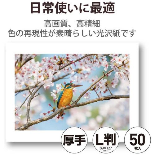 プリンター用紙 写真用紙 L判 50枚 光沢 高グレード 厚手 ホワイト エレコム EJK-HQL50