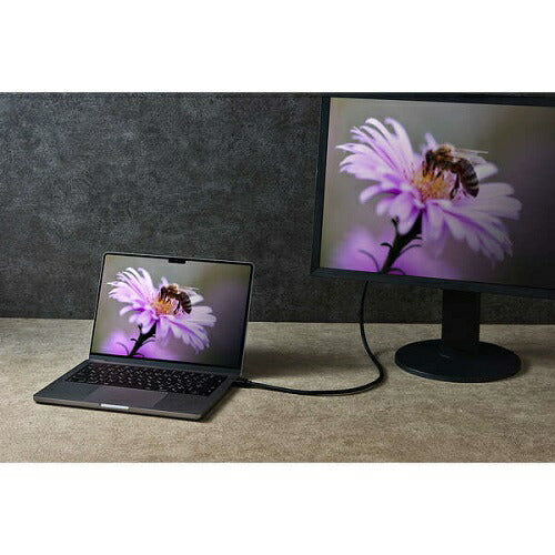 ウルトラハイスピードHDMI(R)ケーブル 3m エレコム CAC-HD21E30BK2