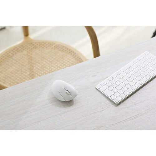 SHELLPHA USB無線/Bluetoothマウス[3ボタン/Mサイズ] ホワイト エレコム M-SH10MBSKXWH