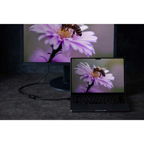 USB Type-C(TM) - HDMI(R)変換アダプター 1ポート エレコム AD-CHDMIQBK3