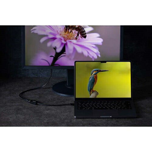 USB Type-C(TM) - HDMI(R)変換アダプター 1ポート エレコム AD-CHDMIQBK3