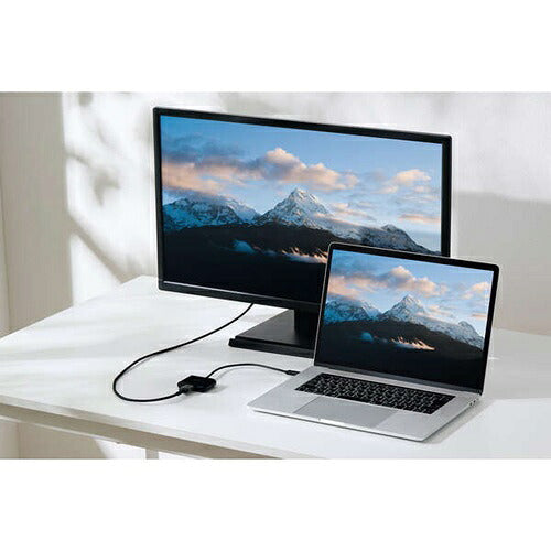 ELECOM エレコム USB Type-C ドッキングステーション DST-030BPBK ブラック