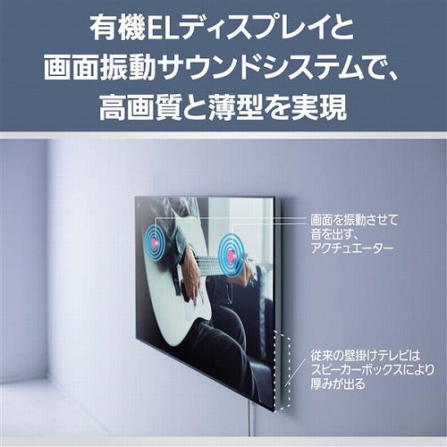 パナソニック 有機ELテレビ ビエラ 55V型 ウォールフィットテレビ TH-55LW1L