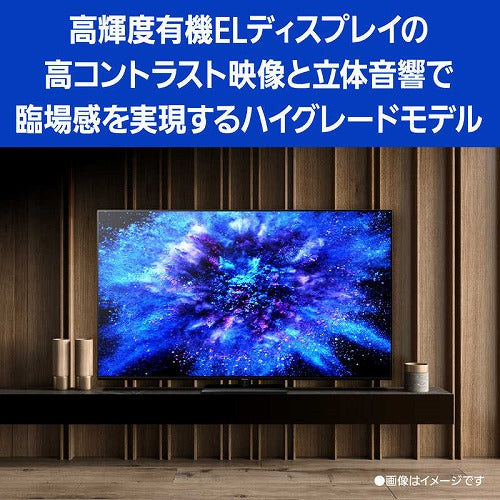 パナソニック 有機ELテレビ VIERA ビエラ 65V型 TH-65MZ1800