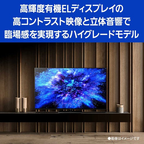 パナソニック 有機ELテレビ VIERA ビエラ 55V型 TH-55MZ1800